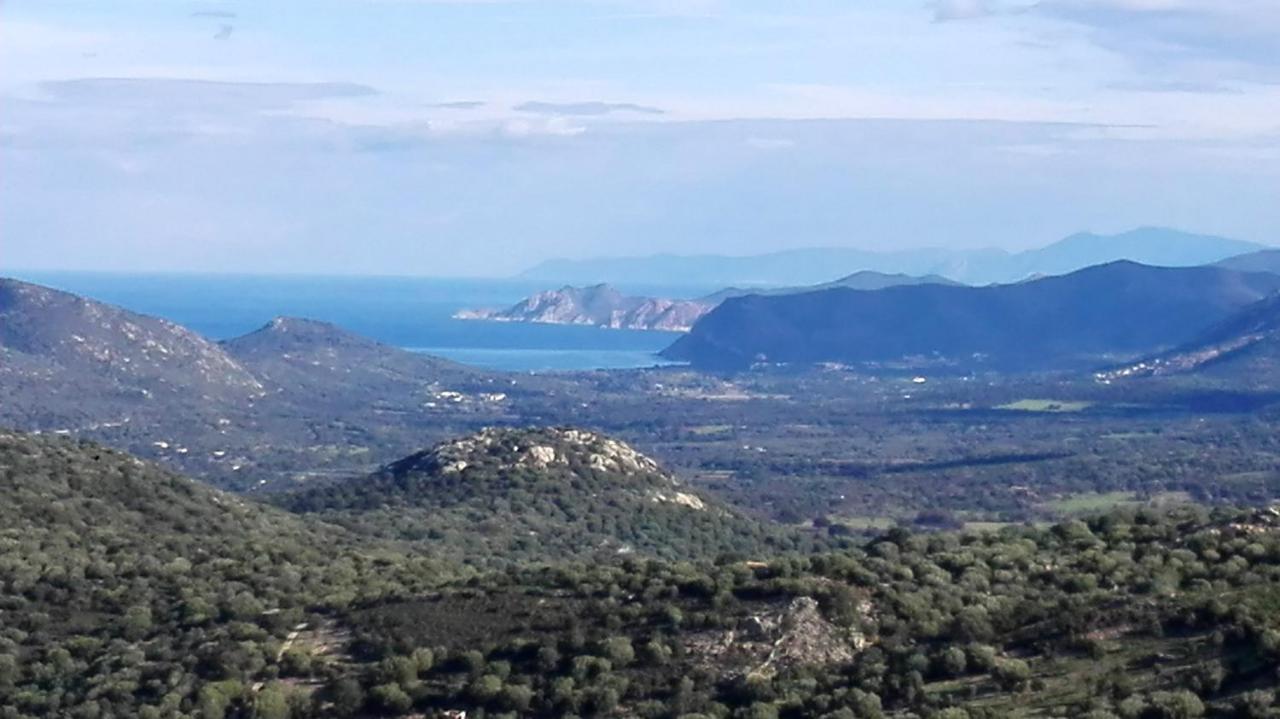 Appartement Raffine A Feliceto 120 M² Avec Vue Sur Montagne Exterior photo